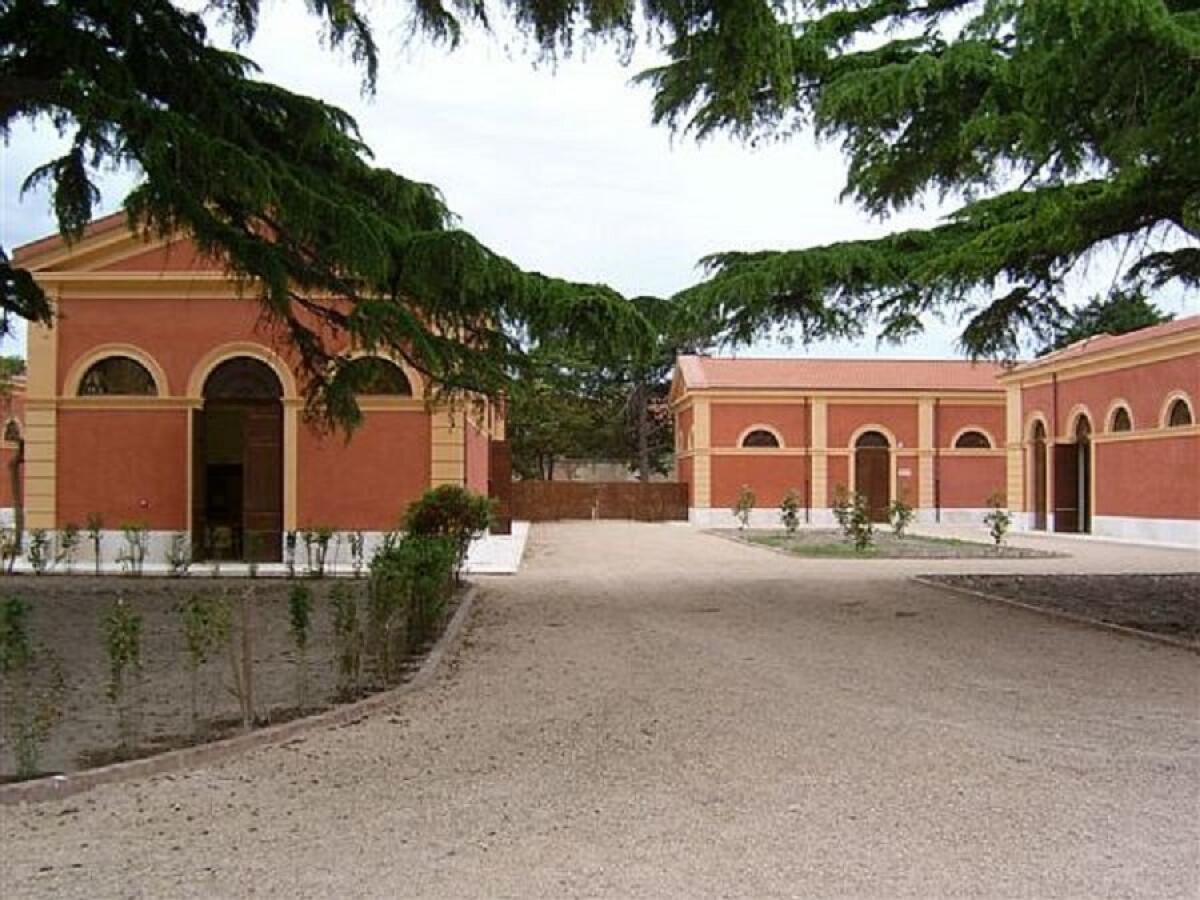 La Regione cede in comodato d'uso all'Università di Foggia i "Cavalli Stalloni" - Il Dipartimento di Economia dell'UniFg