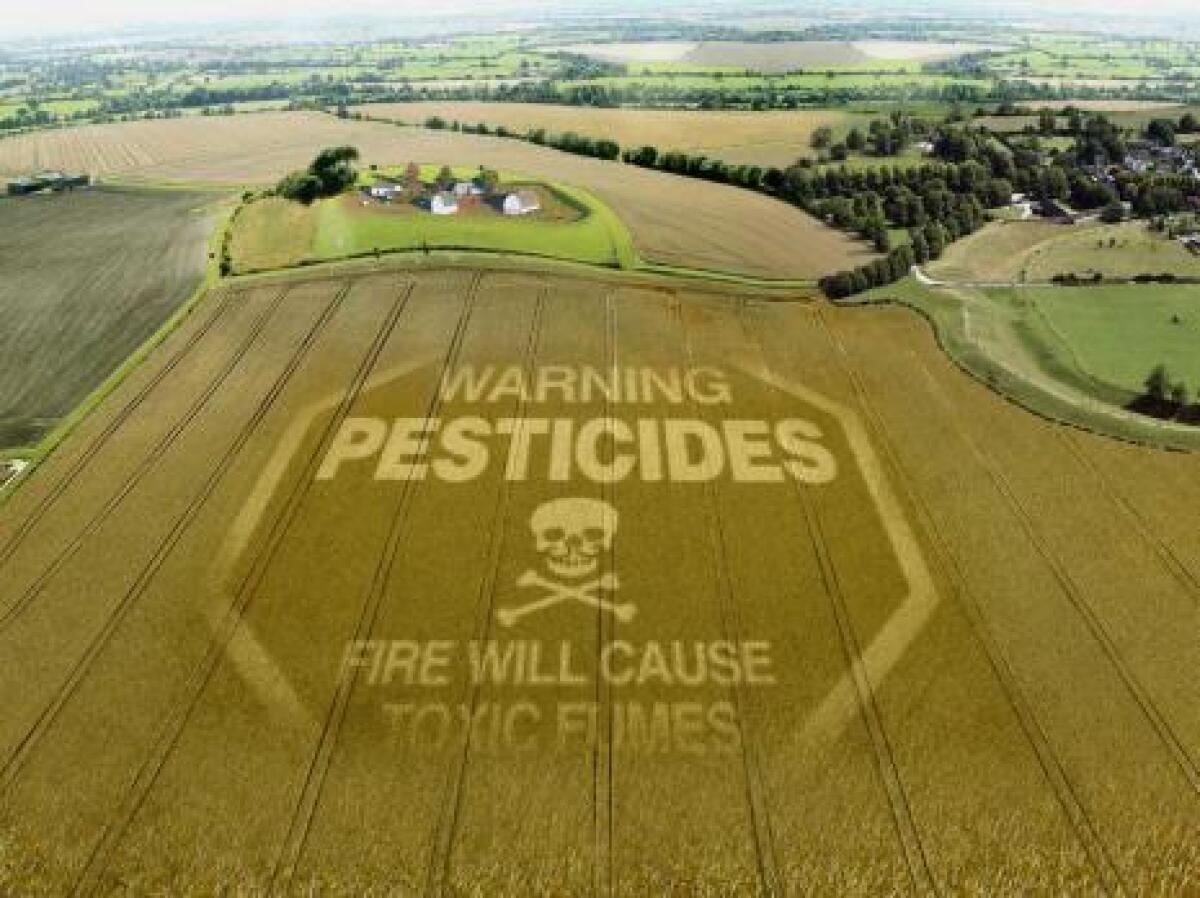 Scatta l'allarme sul grano "al glisolfato", Agrinsieme: "Stop alle importazioni" - 