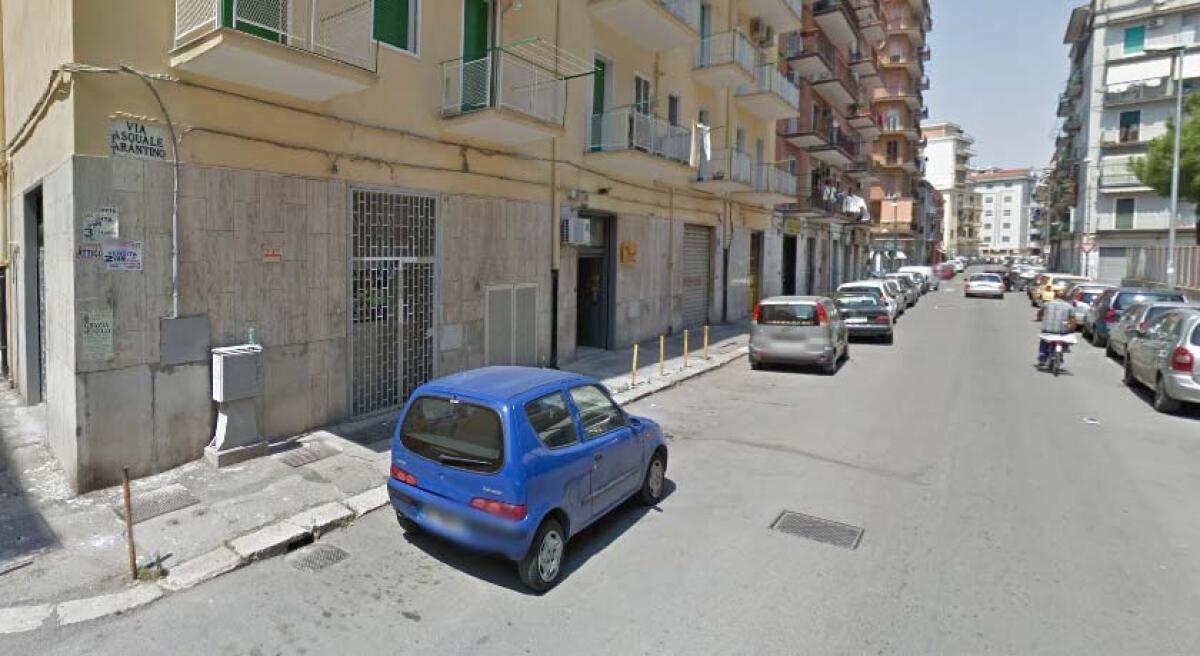 Ratti in zona San Michele: l'AMIU intervenga. La segnalazione di un nostro lettore - 