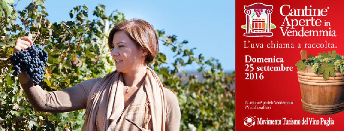“Il Sole nel Vigneto –un’esperienza di paesaggio e di vino” - 