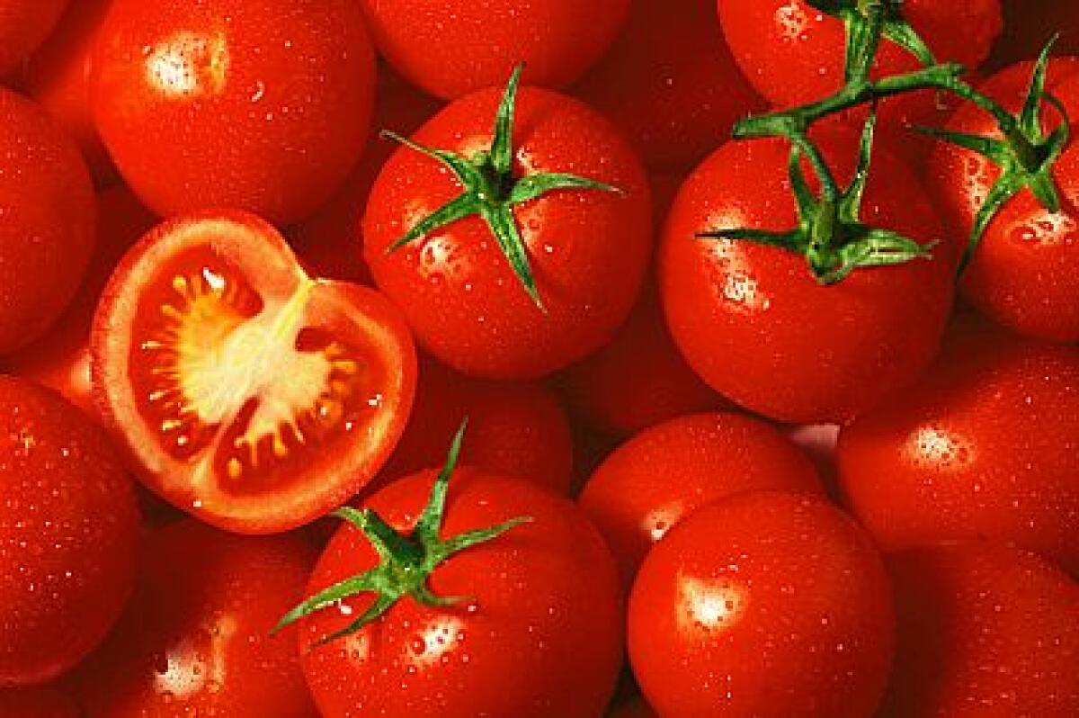 Cia Puglia: "Orgoglio contadino e aggregazione per spingere l'export" - 