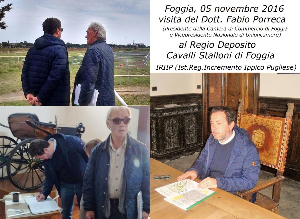 PORRECA: "Parco Campi diomedei"? Meglio "Parco Cavalli Stalloni" - 