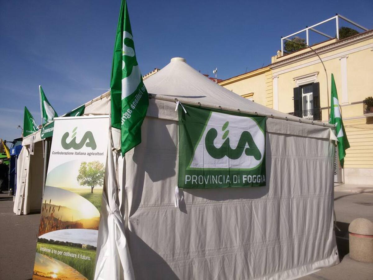 Cerignola, Giubileo Agricoltori, la CIA: “Riscatto inizi nei campi” - 