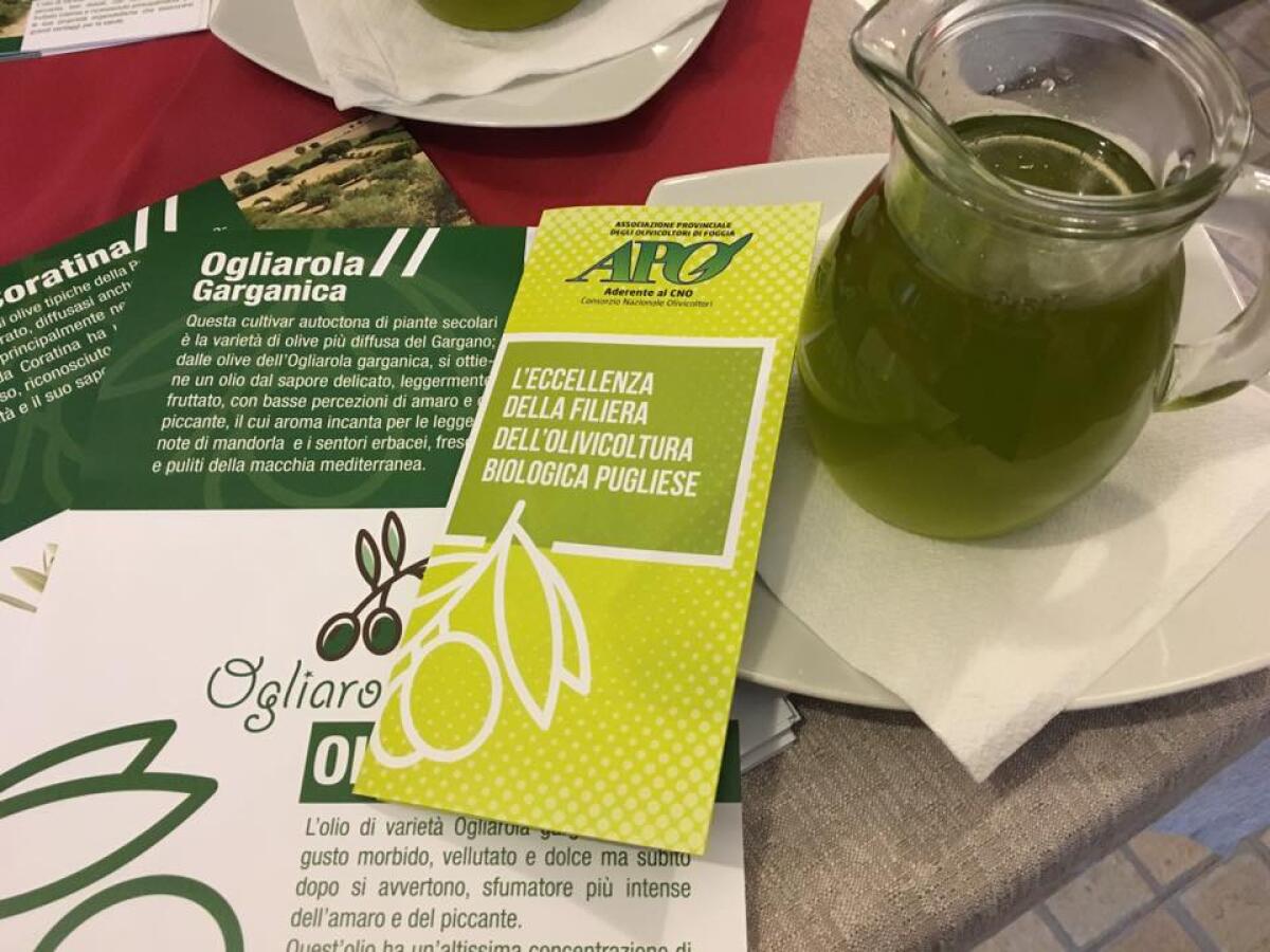 Approda a Vieste "Olio Bio Tour" - 