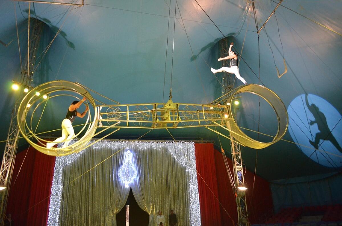 A Foggia torna il Circo di Lidia Togni - 