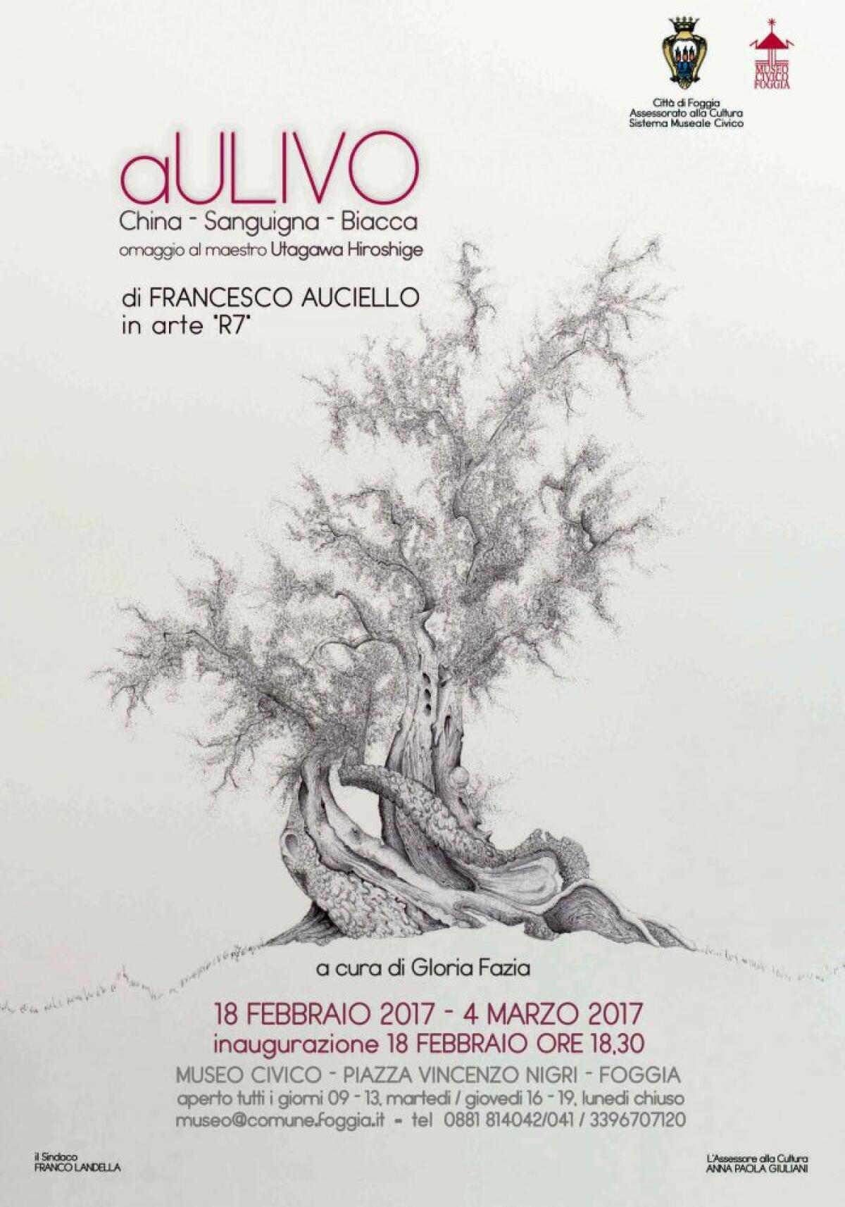 Gli “aUlivi” di Auciello in mostra al Museo Civico - 