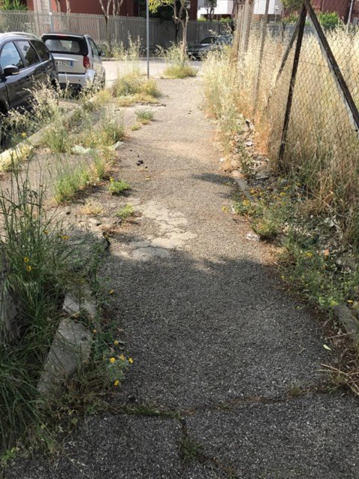 Via Fratelli Biondi: quel che resta del verde pubblico. La segnalazione di un nostro lettore - 