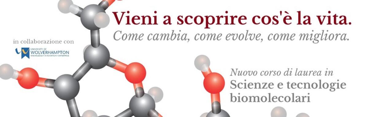 Presentazione del corso di laurea internazionale in "Scienze e tecnologie biomolecolari" - 