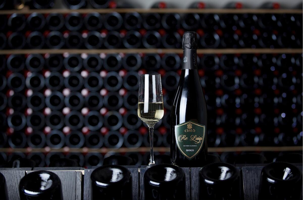 Il primo spumante Nero di Troia: “Ciatò” fa bollicine made in Foggia - 