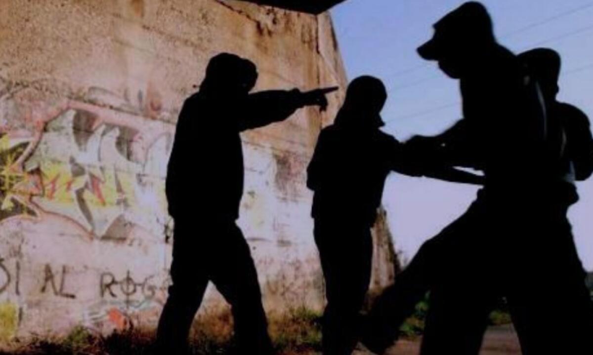 "L'idiozia non conosce limiti": la segnalazione di un nostro lettore, Bruno - 