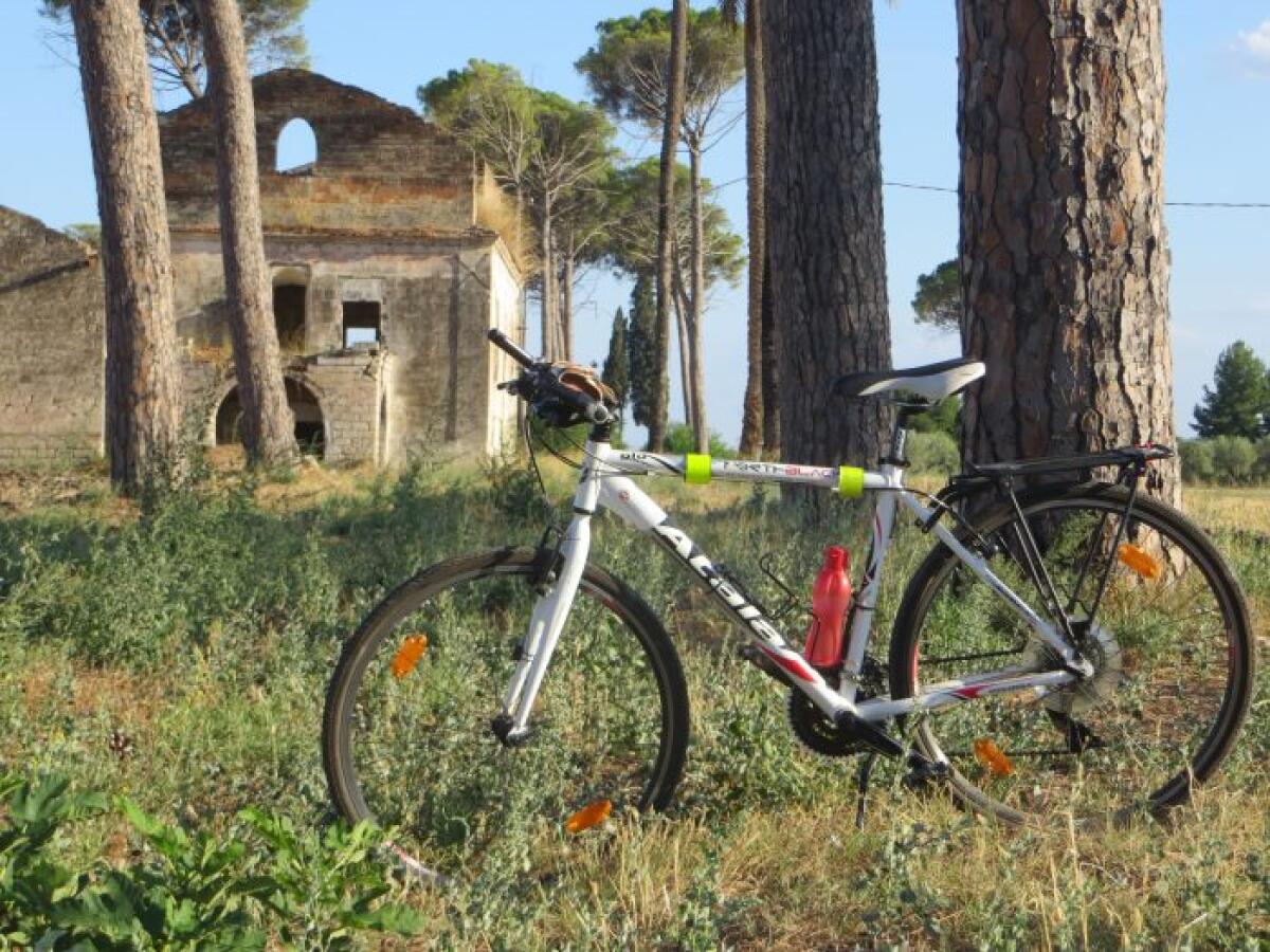 Masserie in Tour, sulle vie dei tratturi - 
