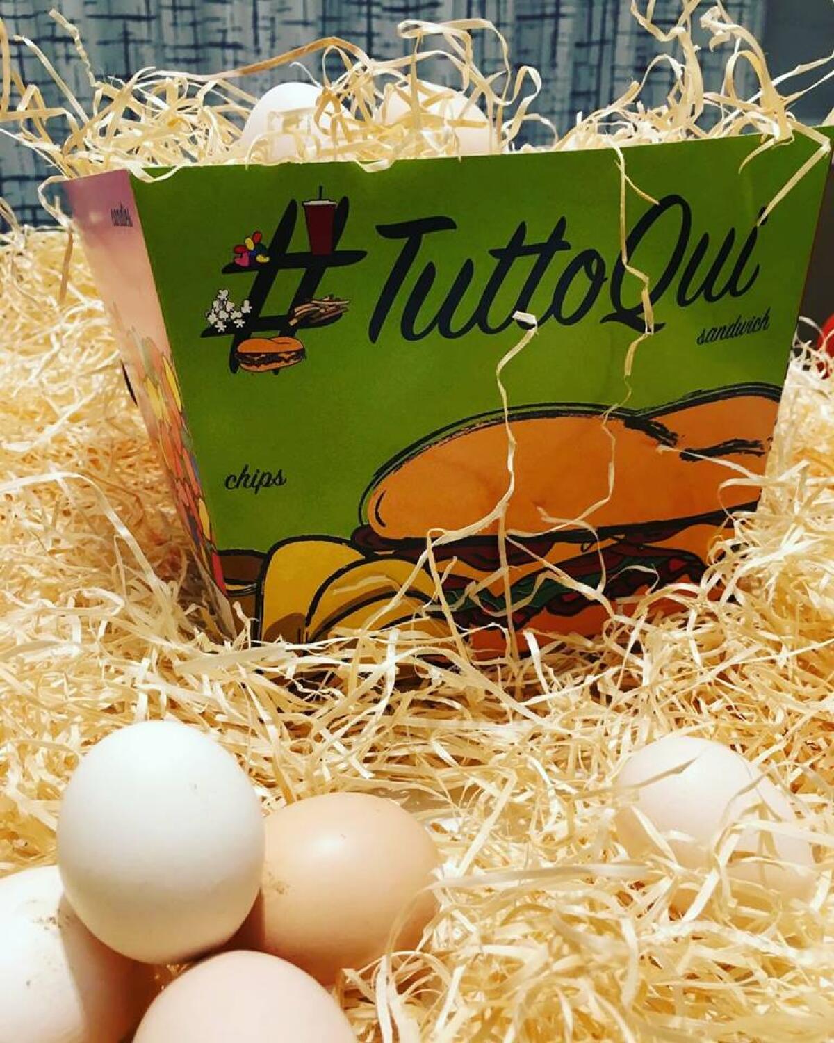 Nasce #Tuttoqui, l'innovativa Start-Up creata da 5 ragazzi foggiani - 