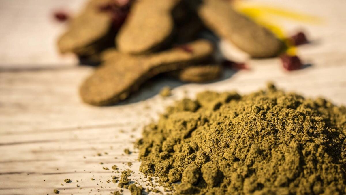 Canapa, boom di produzione in Puglia: lo conferma Coldiretti - Canapa, crediti: mangiare.moondo.info