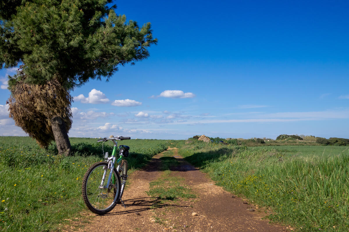 Vivere la Puglia in bicicletta: il progetto - Vivere La Puglia In Bicicletta