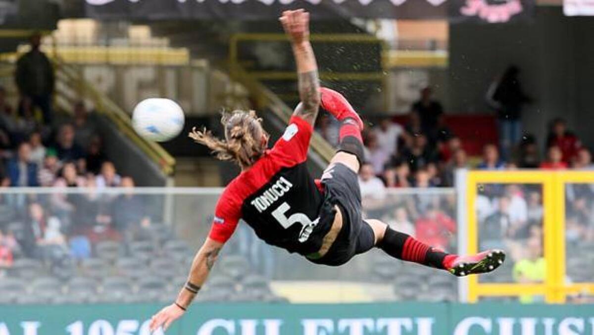 Calciomercato Foggia. Tonucci segue Stroppa a Crotone? - Tonucci