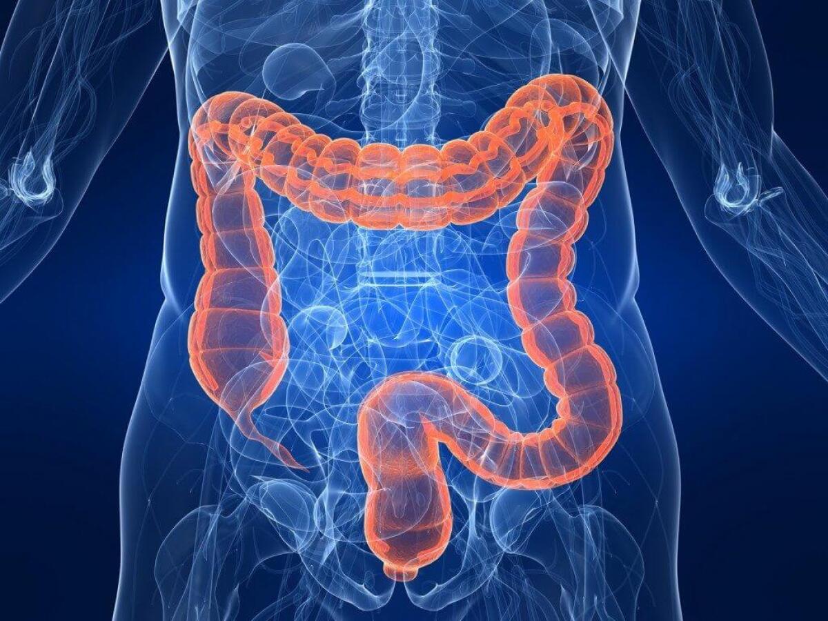 Sindrome del colon irritabile, alcuni consigli per una patologia comune - Colon irritabile, crediti: ilpuntosalute.it