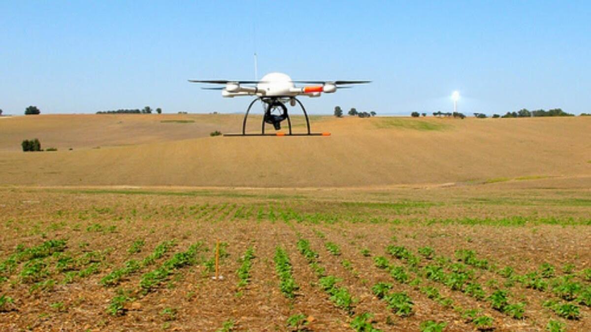 Foggia, parte la 70° Fiera dell'agricoltura: tra le novità l'agricoltura di precisione con i droni - Crediti Foto: Quadricottero News