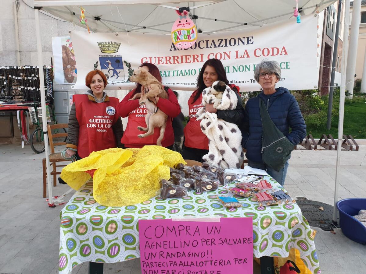 Agnellini di cioccolato per salvare 'La casa di Angelo' - Associazione guerrieri con la coda