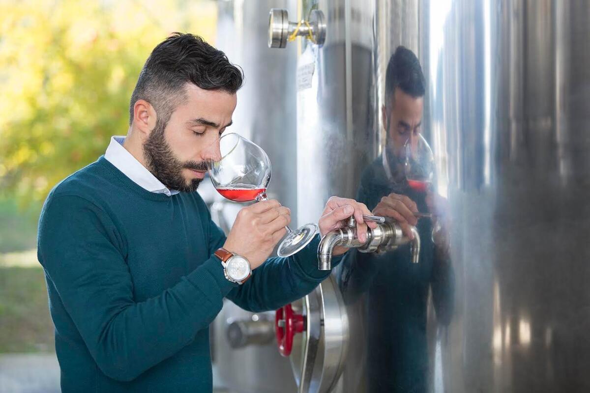 È foggiano uno dei tre vini migliori del Sud - 