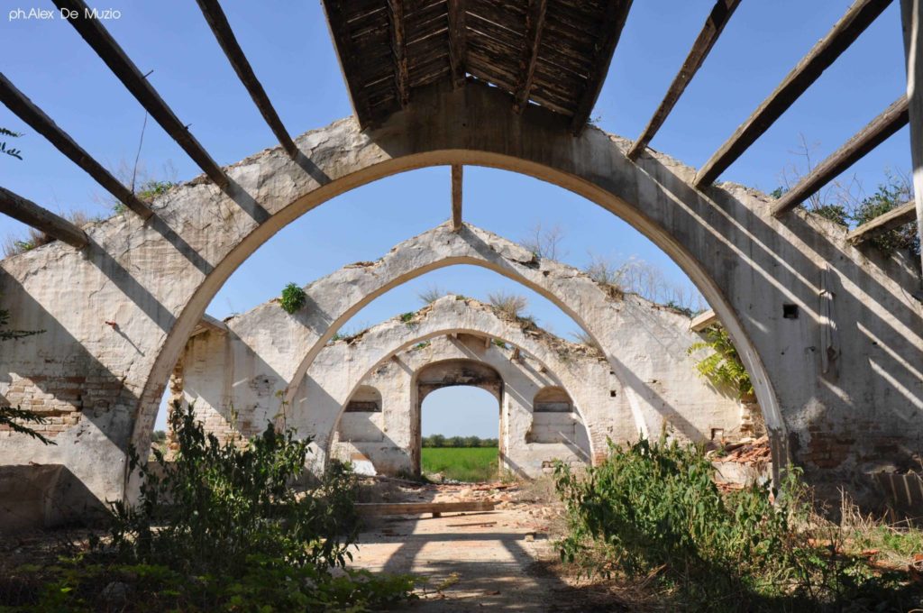 Sulle tracce dell'architettura rurale: la Masseria Fortificata del Tavoliere