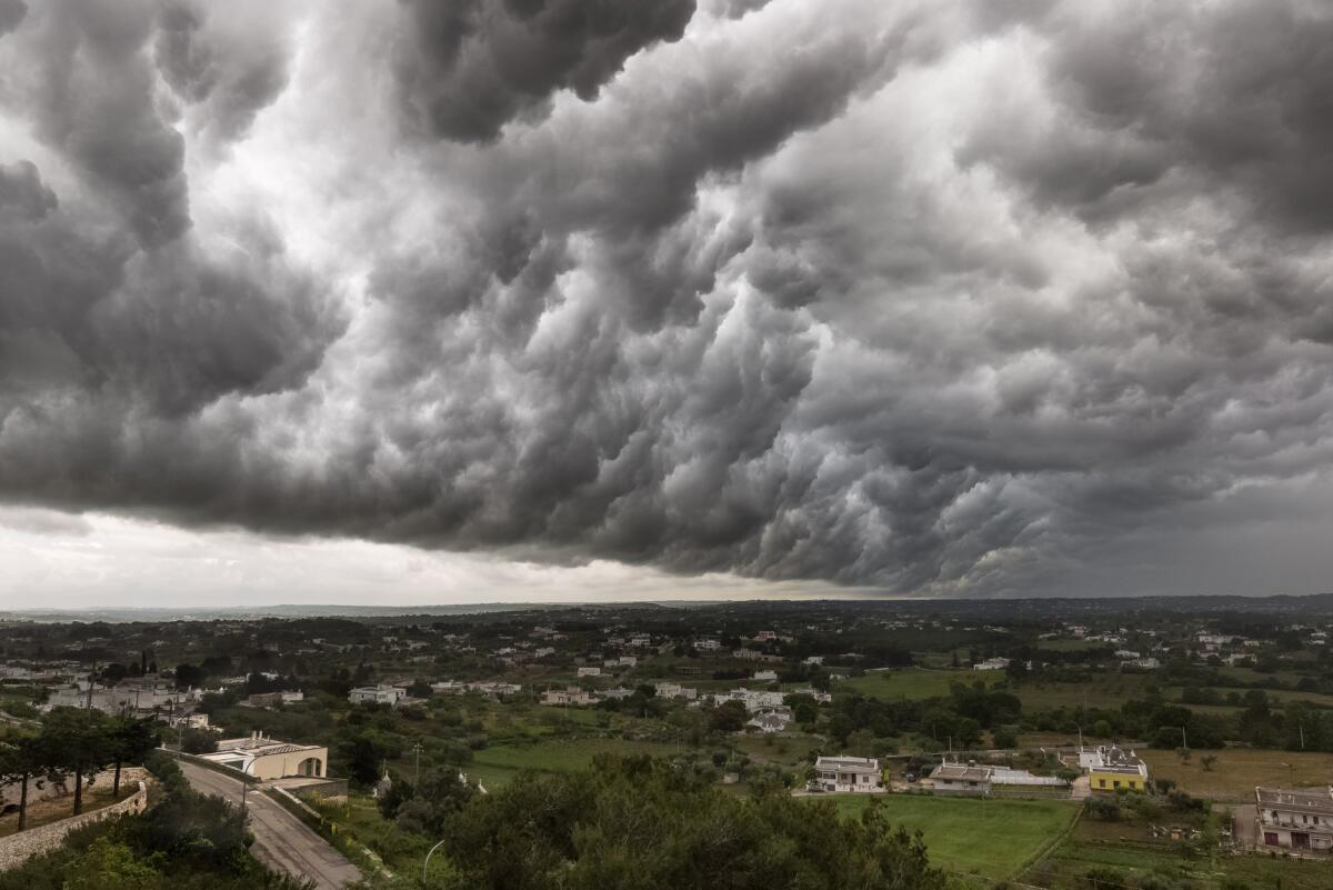 Maltempo in Puglia: campagne allagate e gravi danni alle colture - 