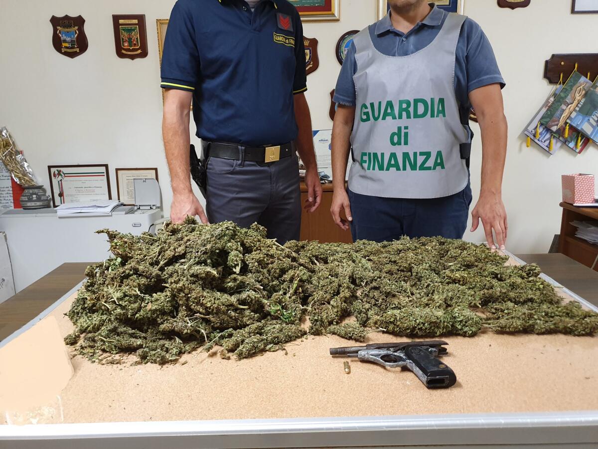 Nelle campagne di Cerignola scoperte cannabis essiccata e una pistola pronta all'uso - 