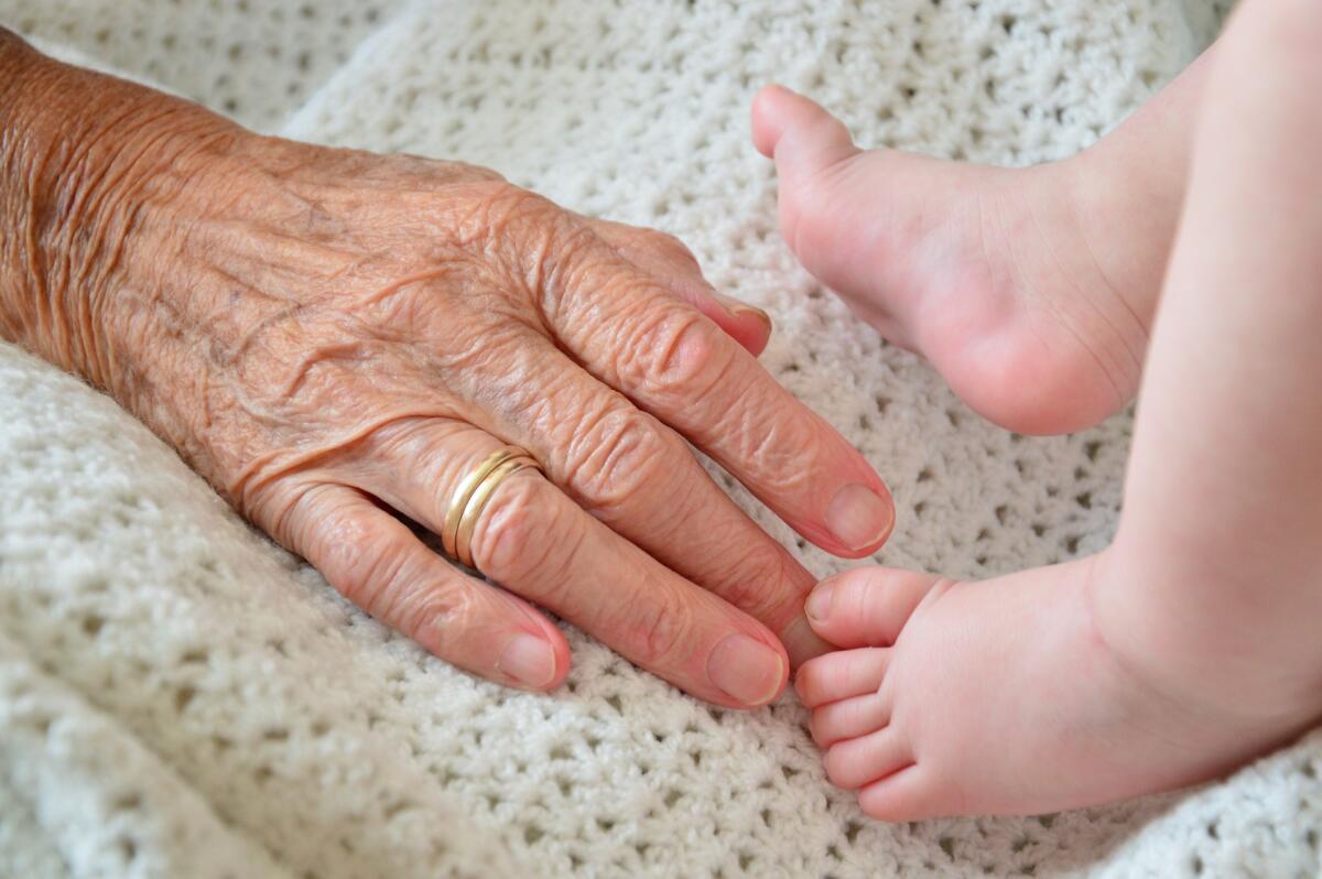 Foggia, Poste Italiane celebra la "Festa dei Nonni" con una cartolina filatelica - 