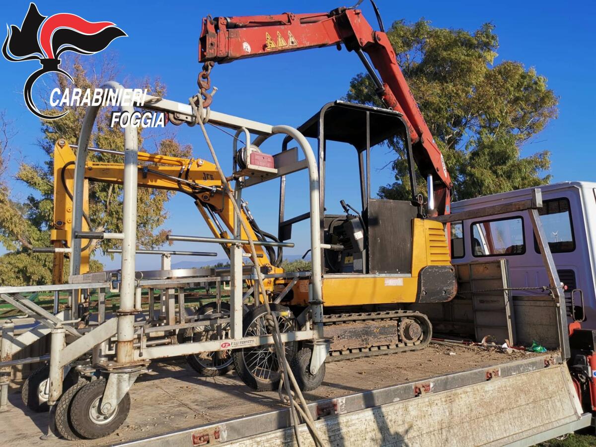 Sorpresi a nascondere mezzi da lavoro rubati nelle campagne di Poggio Imperiale: due arrestati - 