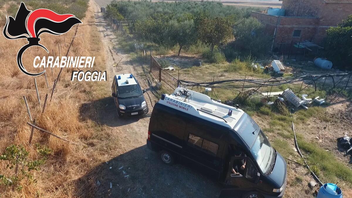Sorpreso a coltivare Marijuana: in manette un cittadino rumeno - 