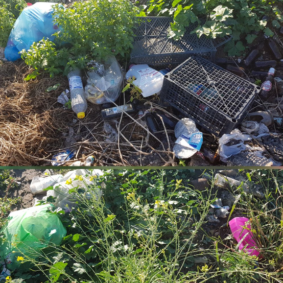 Ordona, Contrada Ponterotto: "abbandono non autorizzato" e illecito di rifiuti