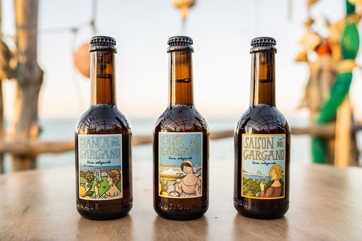 Arance, cioccolato e luppolo: la birra del Gargano finisce nel  panettone - 