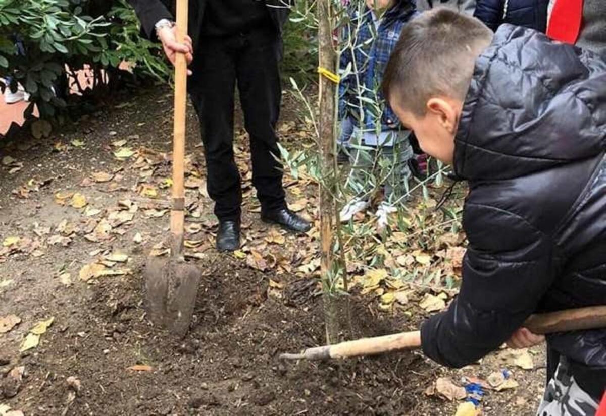 San Severo, oltre 1000 persone per “Piantiamo il Futuro” - 