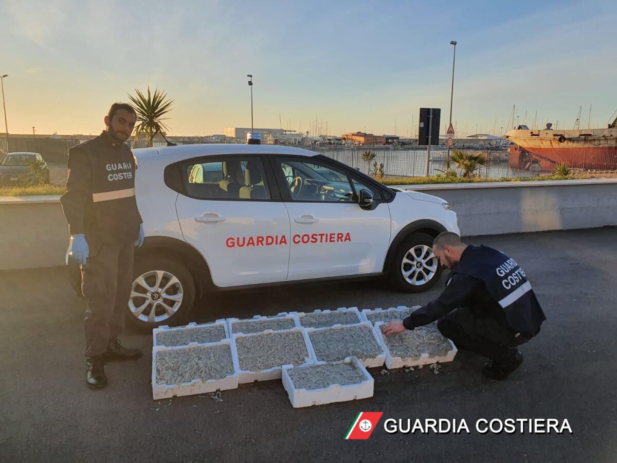 Manfredonia, sequestrati ricci di mare e novellame: nei guai alcuni pescatori - 
