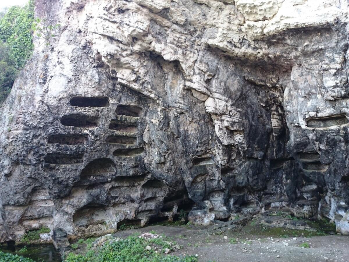 Domenica di archeo-trekking sul Gargano: alla scoperta della bellezza di Vieste - 