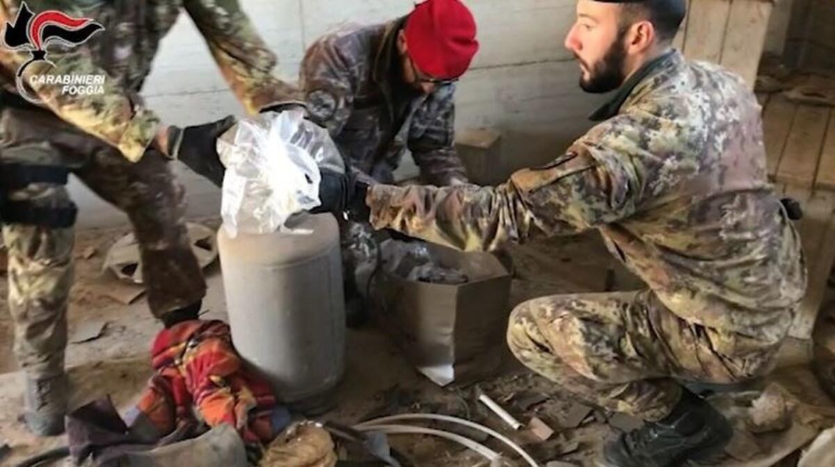 Cerignola, blitz in un'azienda dismessa: sequestrate armi, munizioni e droga - 