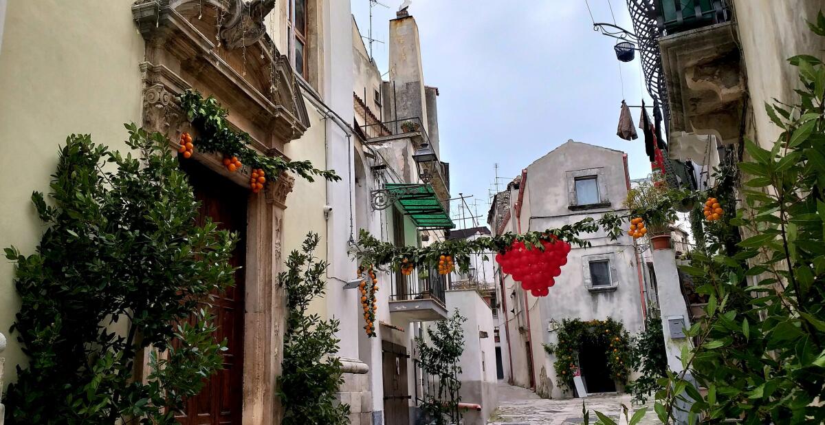 Vico del Gargano, al Mercatino di Terrarancia le eccellenze del territorio garganico - 