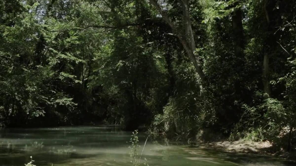 Pioppi, merli, scoiattoli e un Santuario: viaggio nel Bosco Incoronata - Credits: lifeboscoincoronata.it