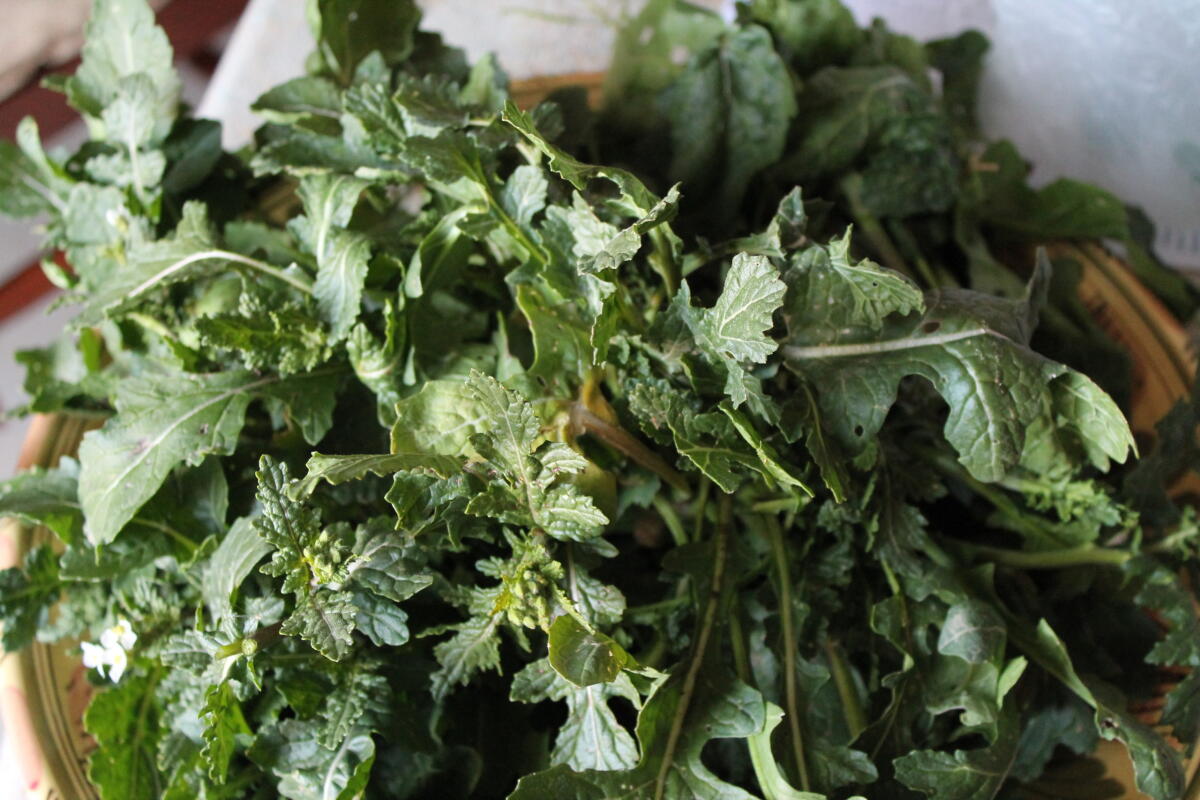 Foggia è servita: ecco come cucinare i marasciùle - 