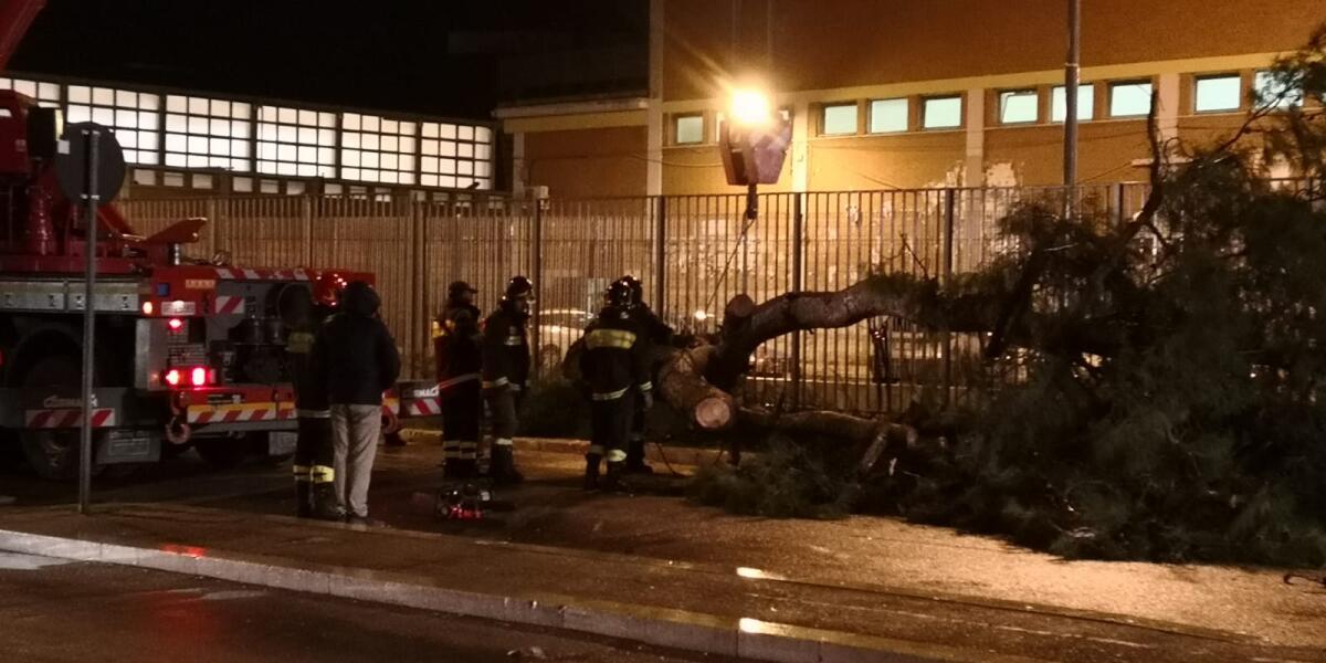 Allerta vento a Foggia: Landella chiude parchi giochi e cimitero - 