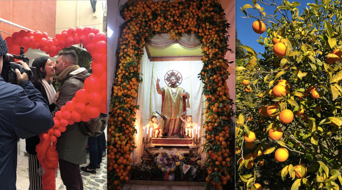 San Valentino a Vico: le arance Igp sono un elisir d’amore - 