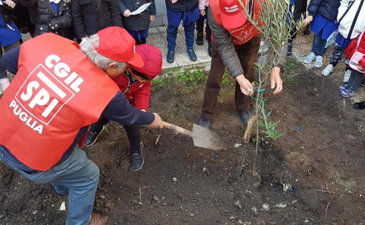 "Siamo innamorati di Foggia, per questo piantiamo il futuro": l'iniziativa di SPI Cgil - 