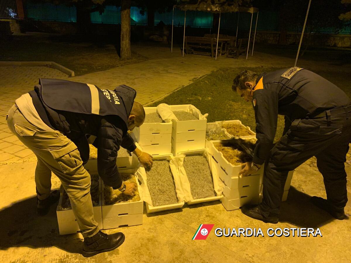 Manfredonia, numerosi controlli e sanzioni della Guardia Costiera - 