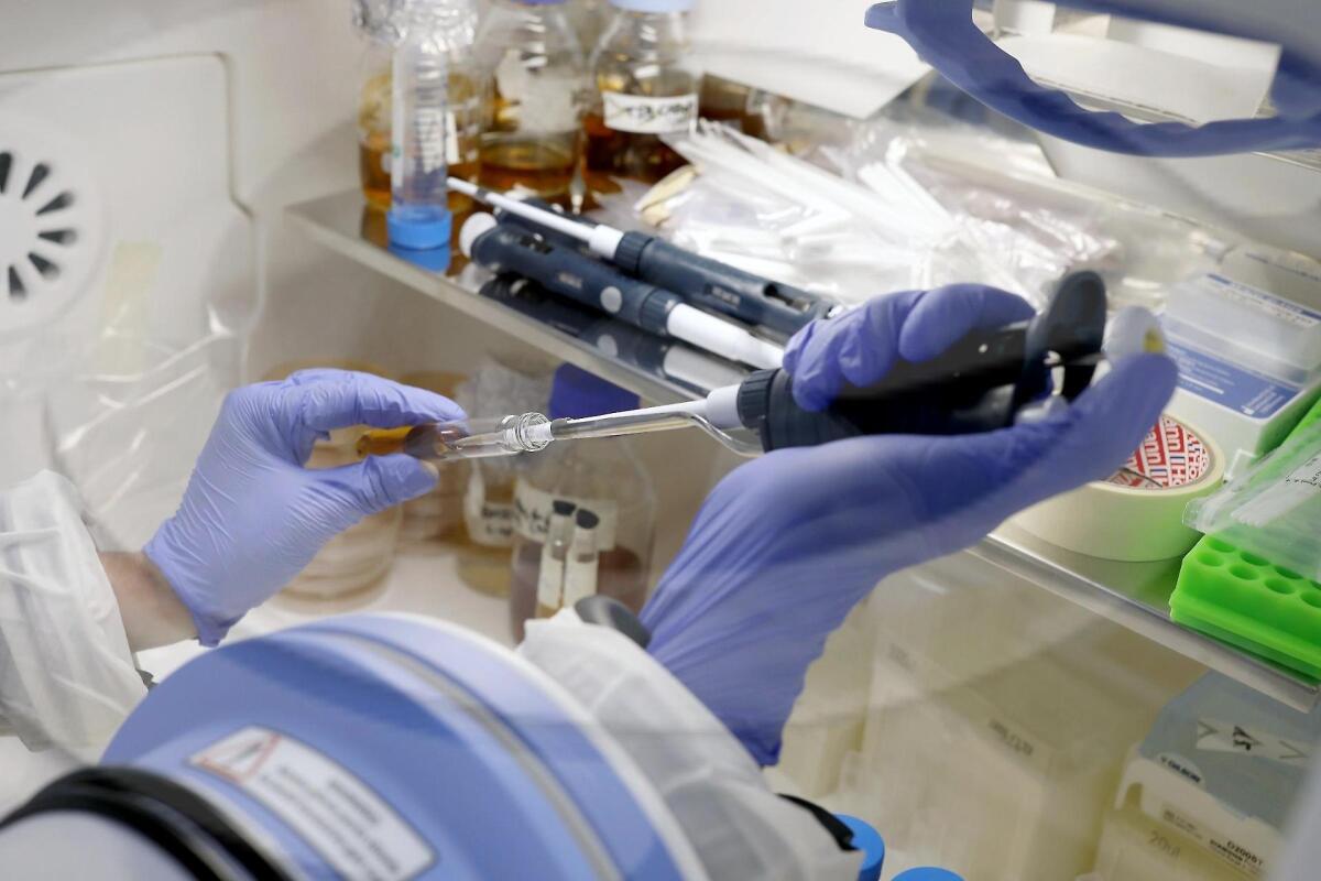 Coronavirus, primi casi positivi a Cerignola - 