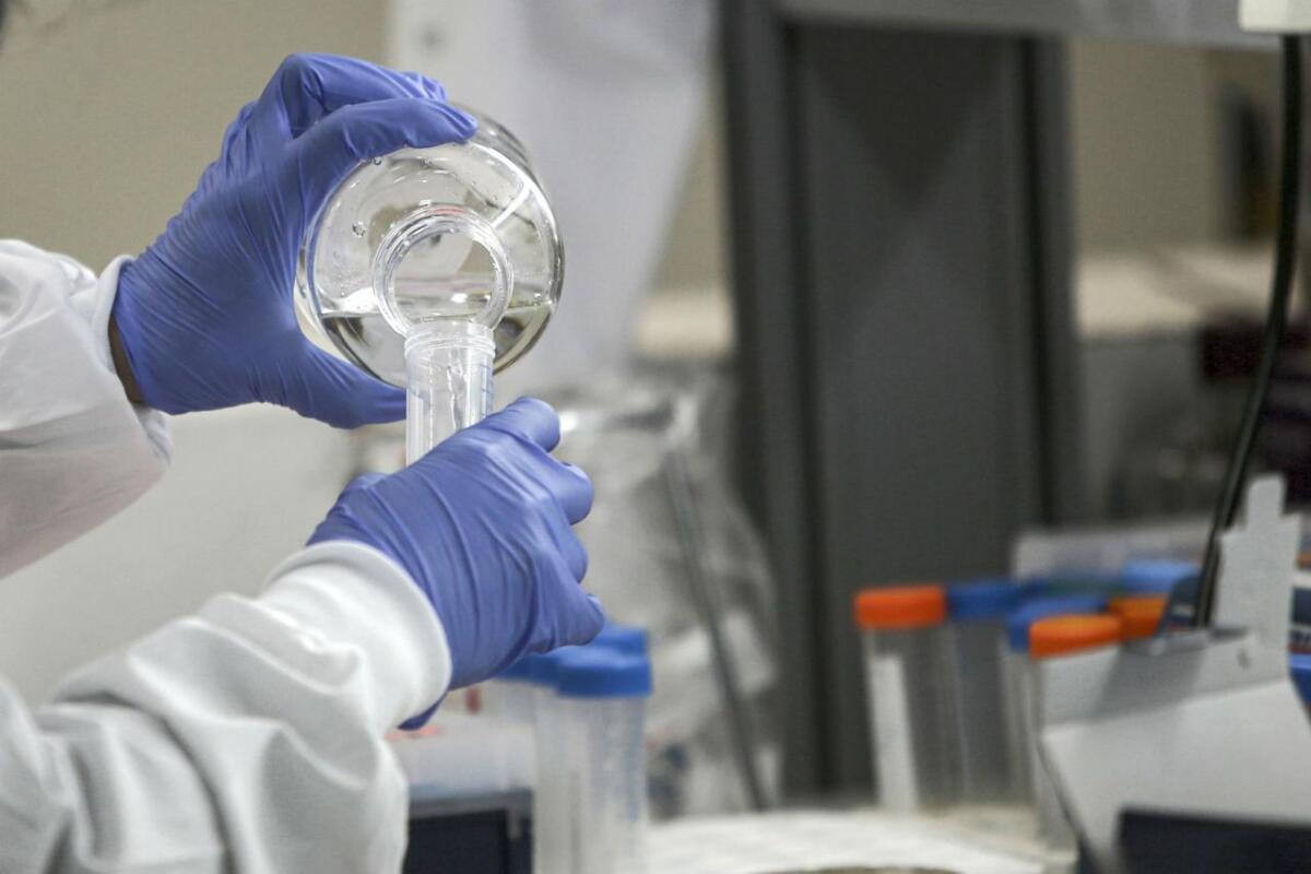 Coronavirus, Roche mette a punto un test sierologico: sarà pronto a maggio - 