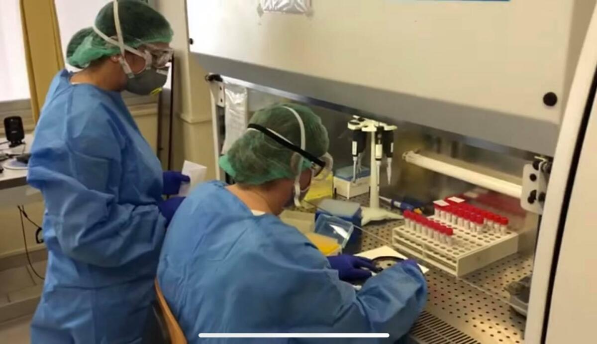 Puglia, creata rete di 13 laboratori analisi per il Coronavirus - 