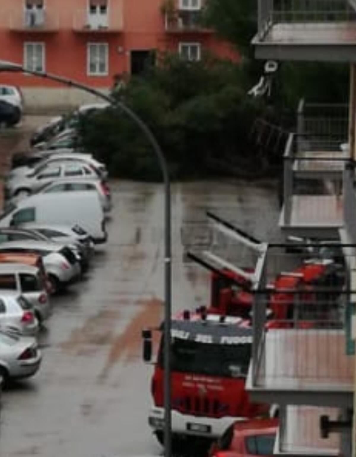 Cade un grosso albero in via Dattoli: sul posto i vigili del fuoco - 
