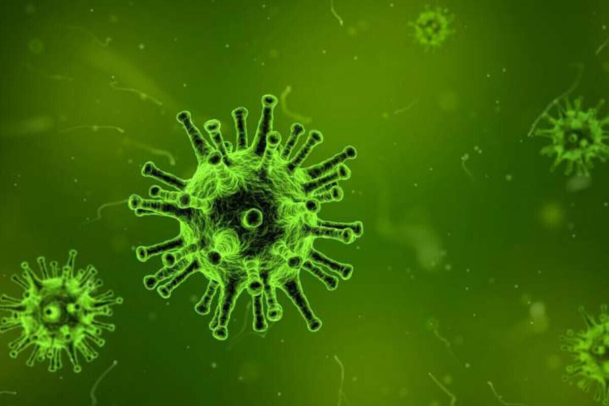 Ideato un sensore che "fiuta" il Coronavirus nell'aria, il progetto dei ricercatori svizzeri - 