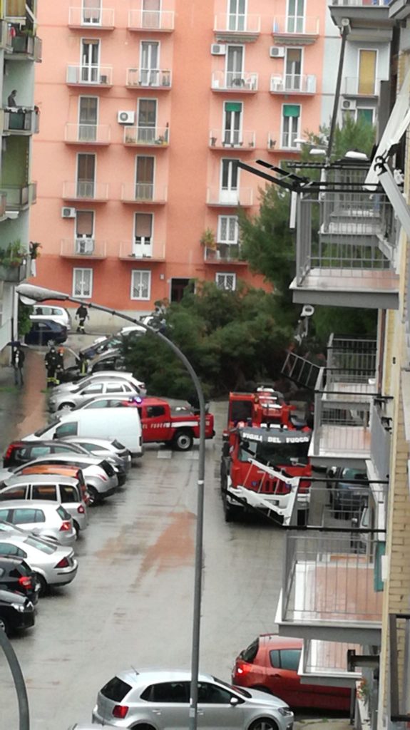 Foggia Reporter