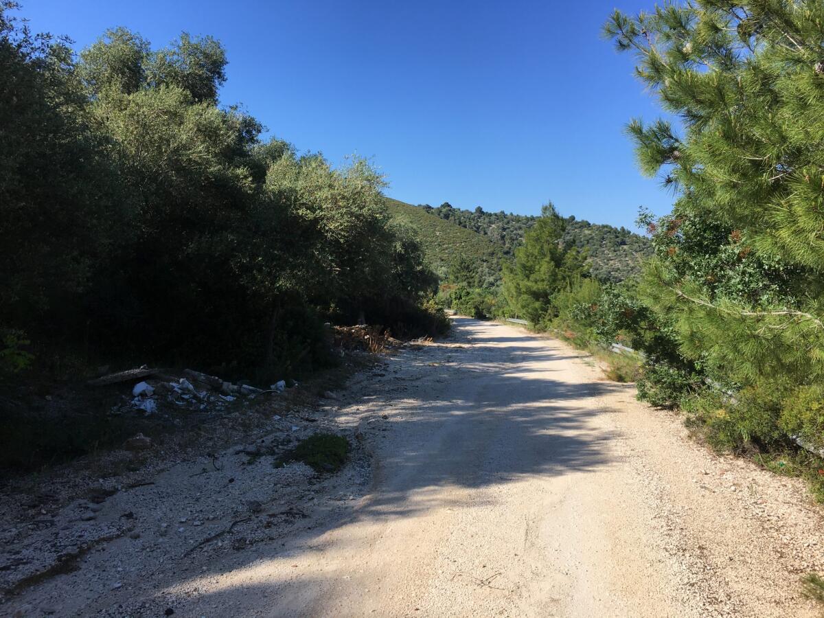 Strade del Gargano pericolose e degradate, sindaco di Vieste: "Non possiamo più aspettare!" - 