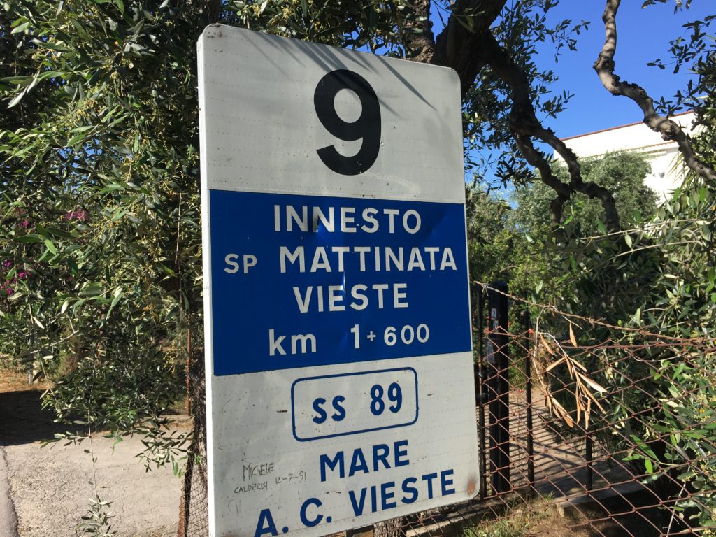 Strade del Gargano pericolose e degradate, sindaco di Vieste: "Non possiamo più aspettare!"